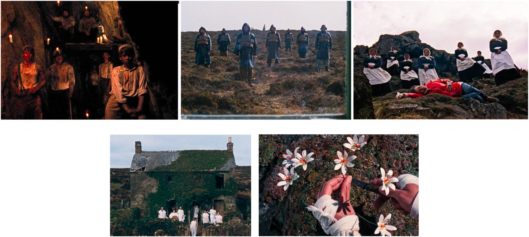 Figure 7
(a)–(e) Numerical comparison.