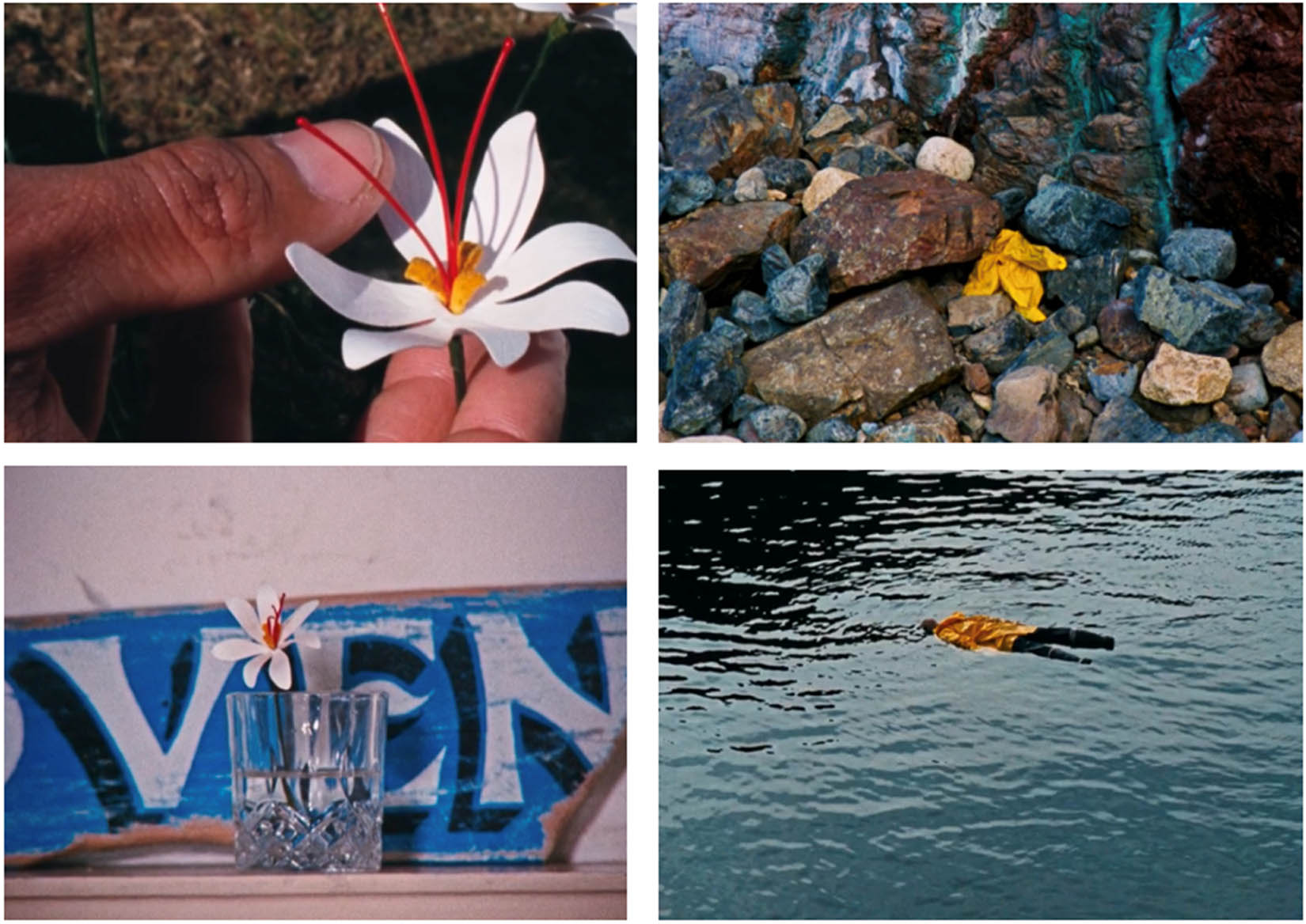 Figure 8
The plot parallel of the flower – man.