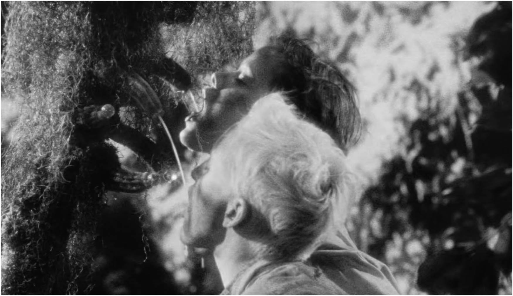 Figure 2 
               The Wild Boys (2017).
            