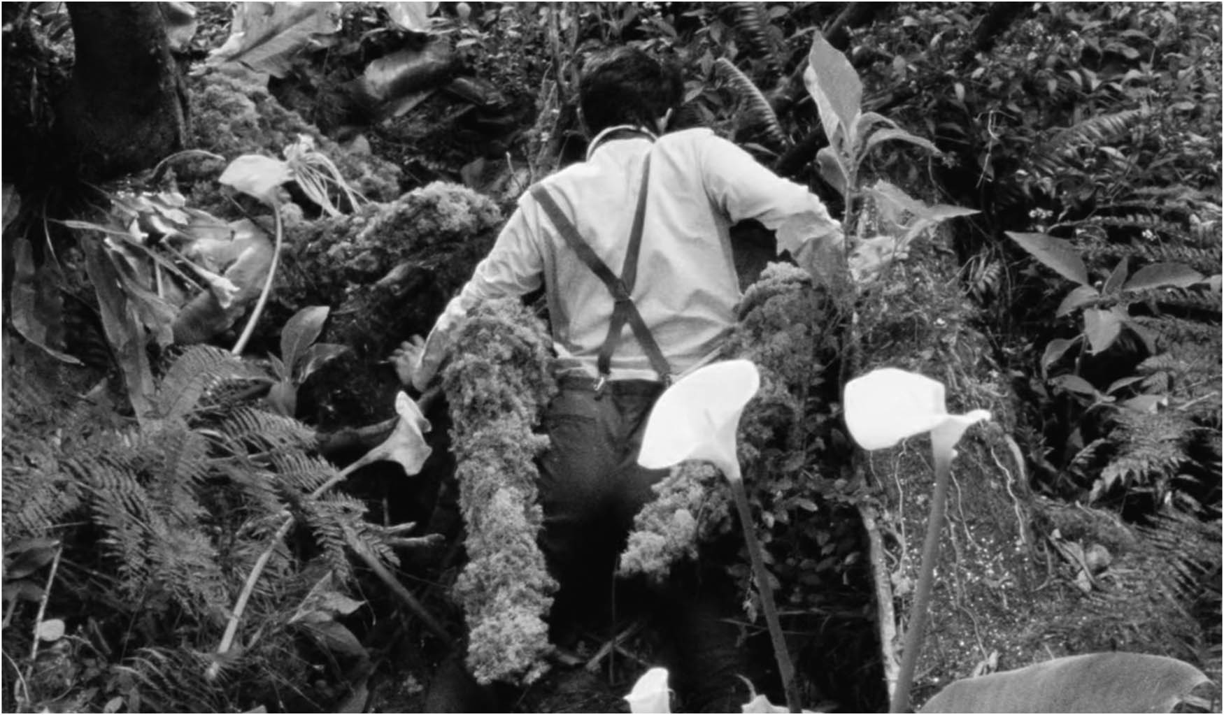 Figure 3 
               The Wild Boys (2017).
            