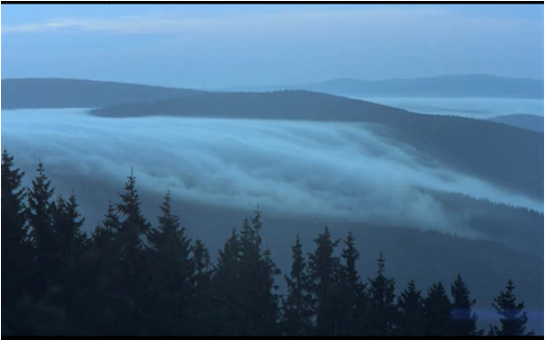 Figure 1
Herzog’s frameless and unframeable nature of excess, majesty, and autonomy.