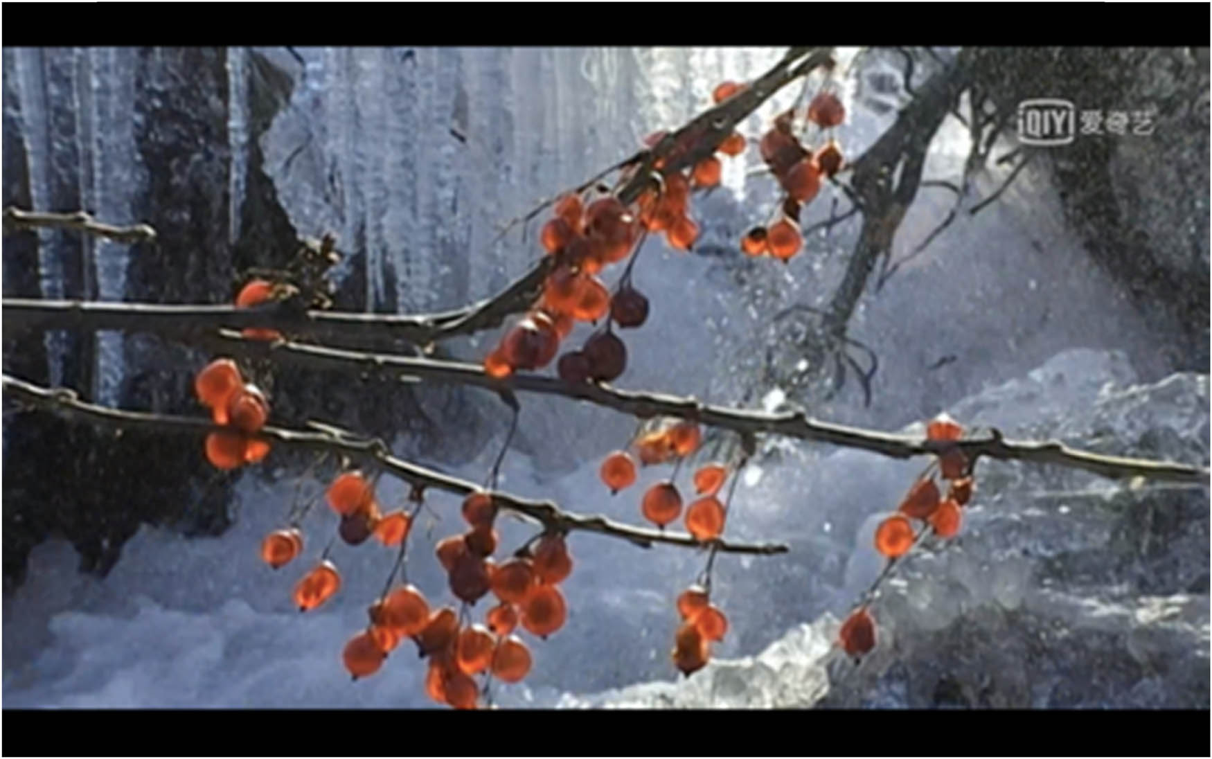 Figure 20
Fiery twigs across icicles.