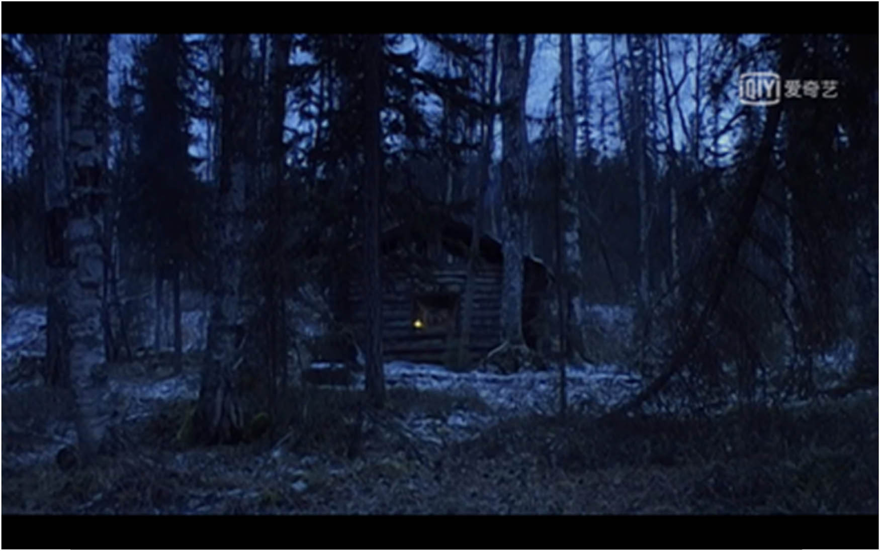 Figure 23
A hut merging into the forest twilight.