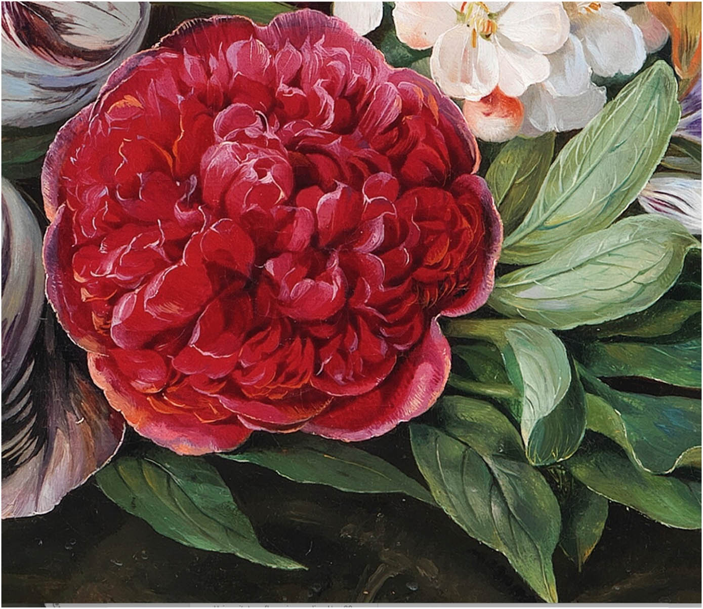 Figure 2
Christine Løvmand, A Bouquet of Flowers at the Foot of a Tree, 1832. Detail of one of the two peonies.