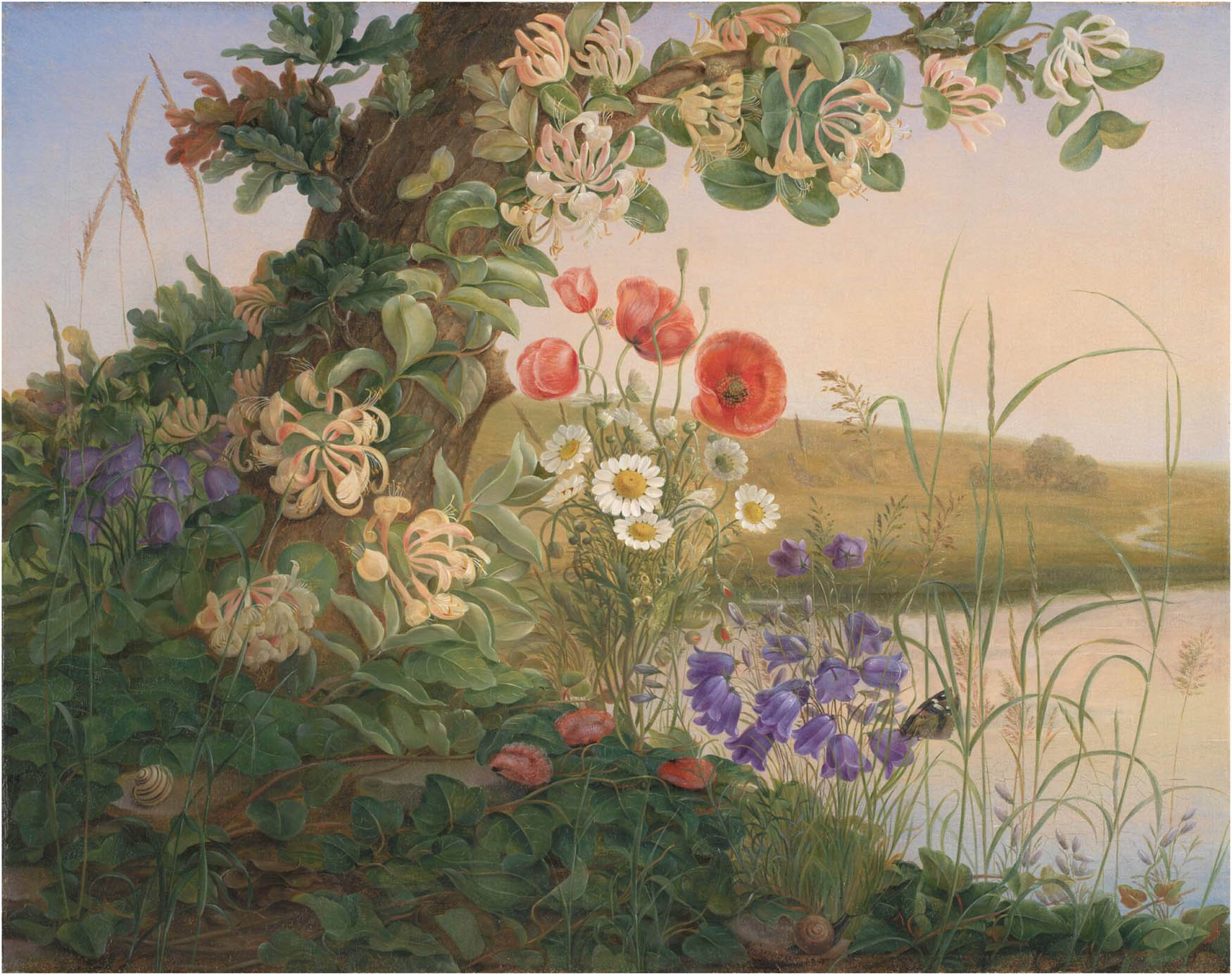 Figure 3
Christine Løvmand, Flower Piece, 1841. Oil on canvas, 46 × 58 cm. Statens Museum for Kunst https://open.smk.dk/artwork/image/KMS403.