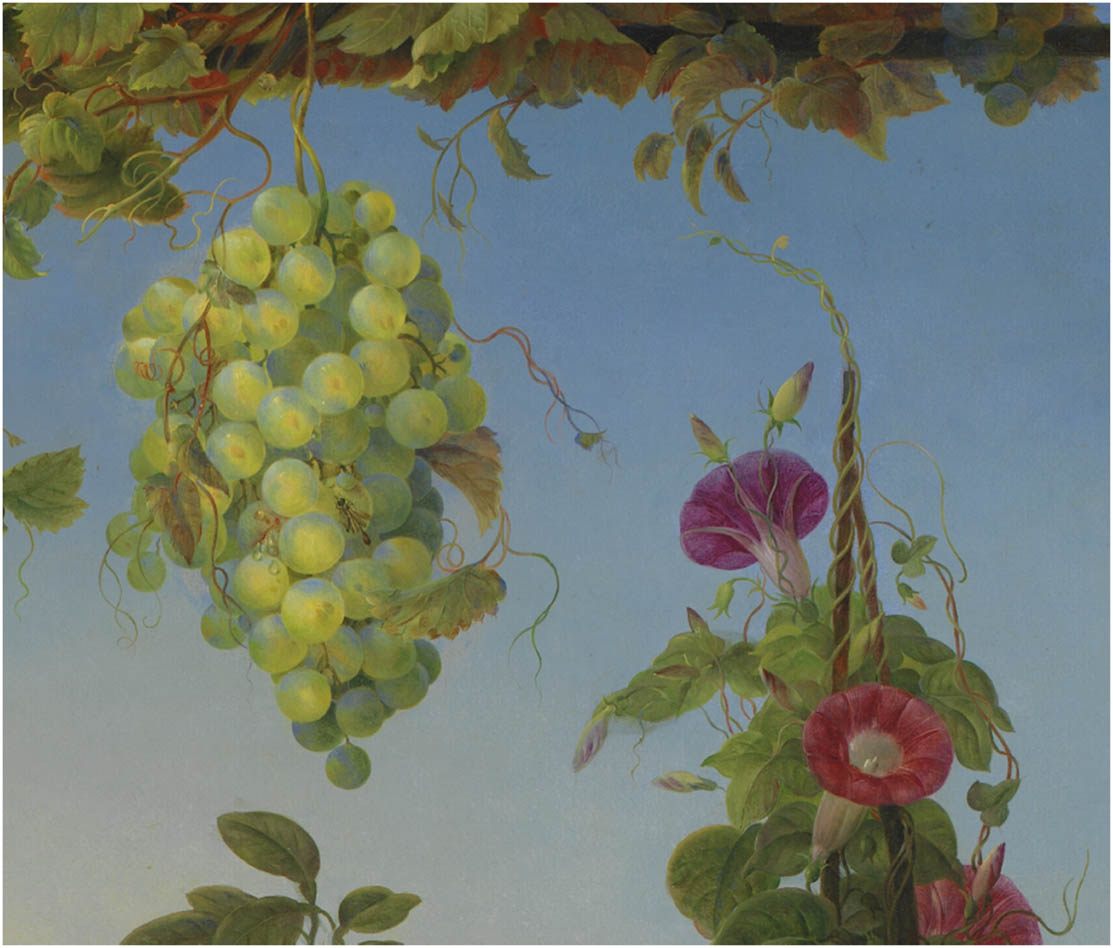 Figure 7
Christine Løvmand, Fruits in an Italian Landscape, 1842-3. Oil on canvas, 100 × 84.5 cm. Statens Museum for Kunst. Detail of vine and bindweed with many tendrils. https://open.smk.dk/en/artwork/image/KMS453.