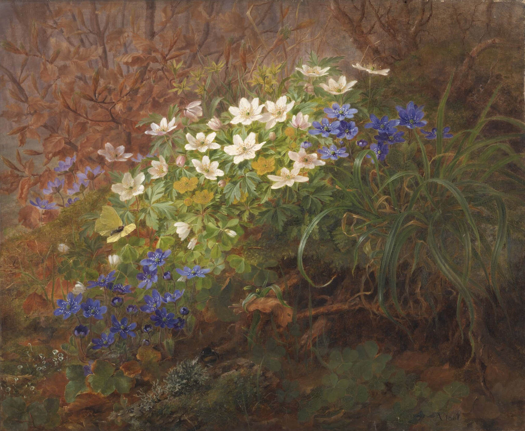 Figure 8
Anthonore Christensen, Anemones, 1867. Oil on canvas, 37 × 44 cm. Statens Museum for Kunst. https://open.smk.dk/en/artwork/image/KMS860.