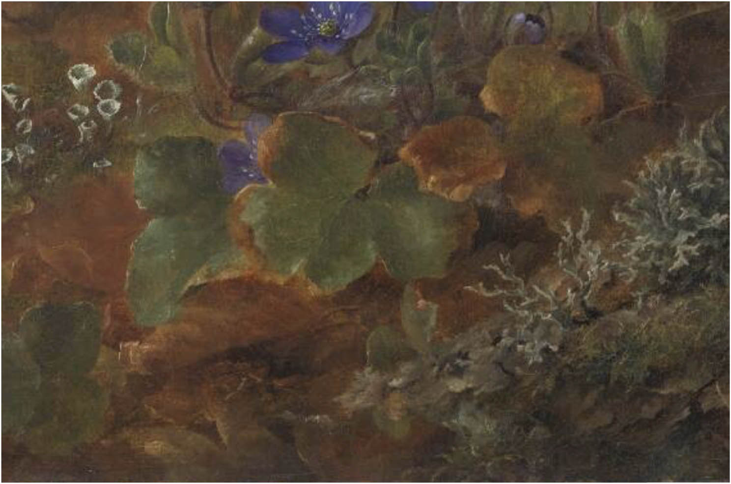 Figure 9
Anthonore Christensen, Anemones, 1867. Detail.