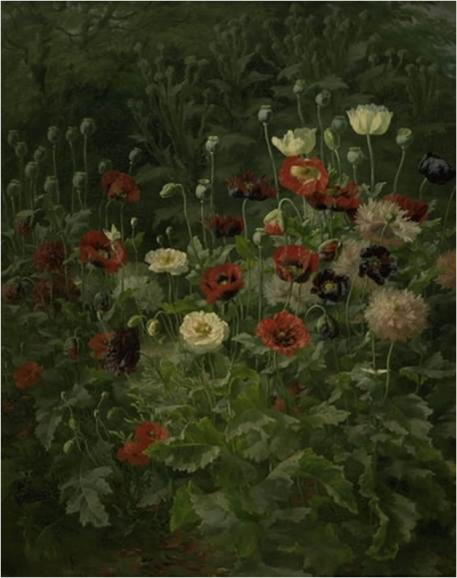 Figure 10
Anthonore Christensen, Poppies, 1892. Oil on canvas, 124 × 99 cm. Statens Museum for Kunst. https://open.smk.dk/artwork/image/KMS1467.