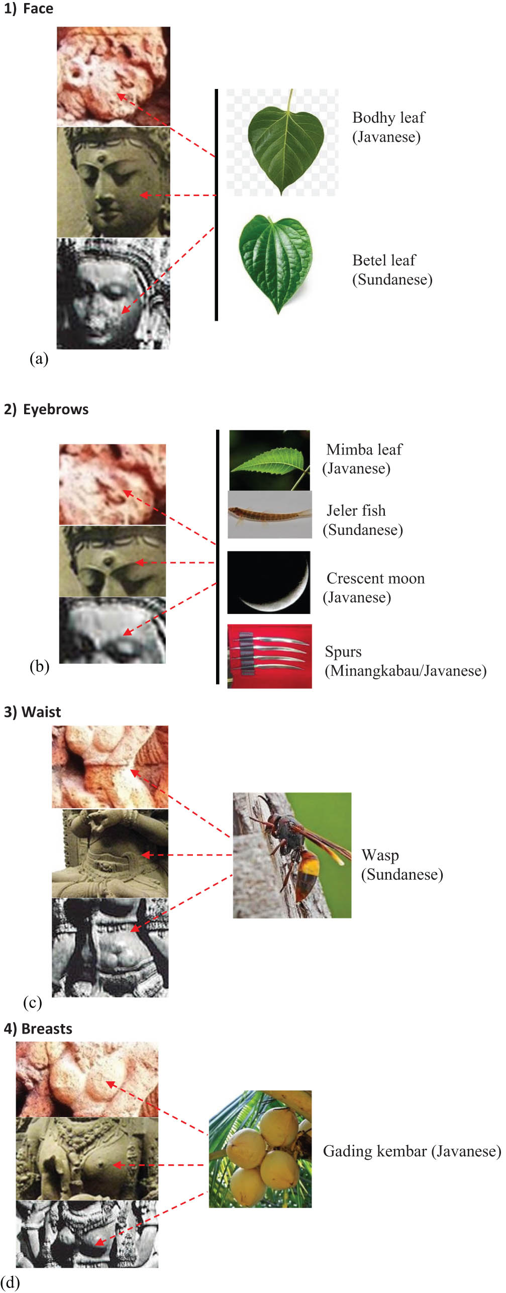 Figure 3
Detailed beauty metaphors of (a) face, (b) eyebrows, (c) waist, and (d) breast by Javanese, Sundanese, and Minangkabau.