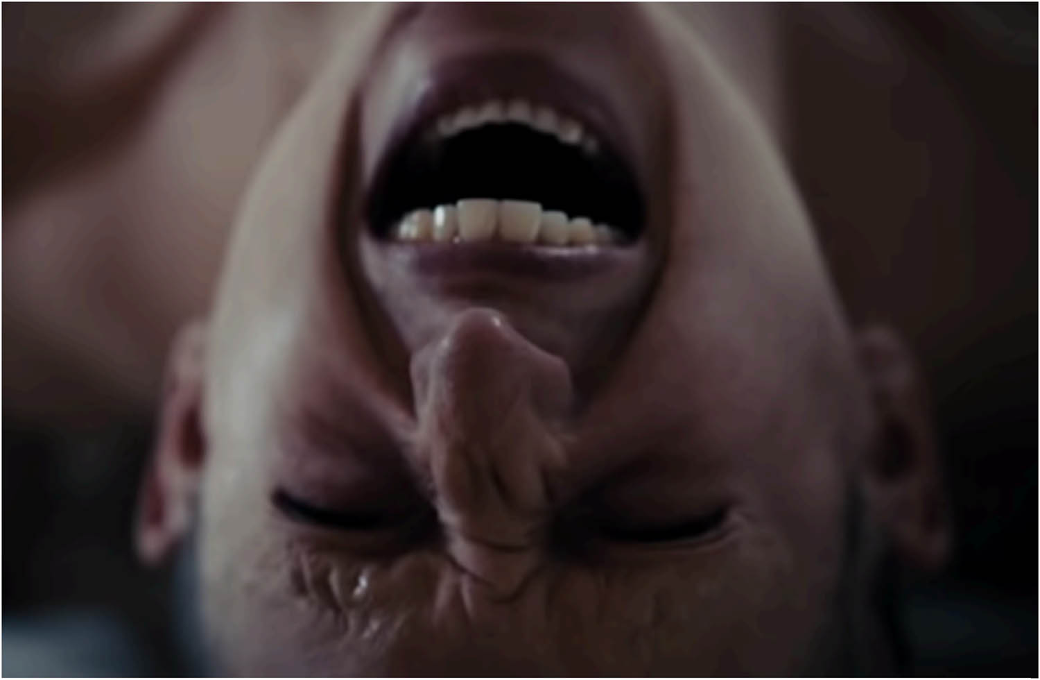 Figure 4 
               Alexia gives birth (Titane, 2021).