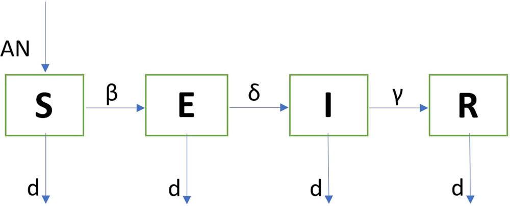 Figure 1
SEIR model for malaria disease.