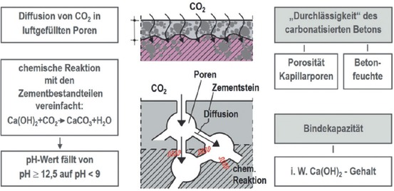 3 Mechanismus der Carbonatisierung