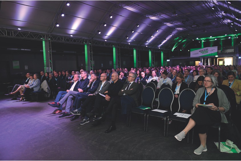 Vorschaubild aus dem Artikel