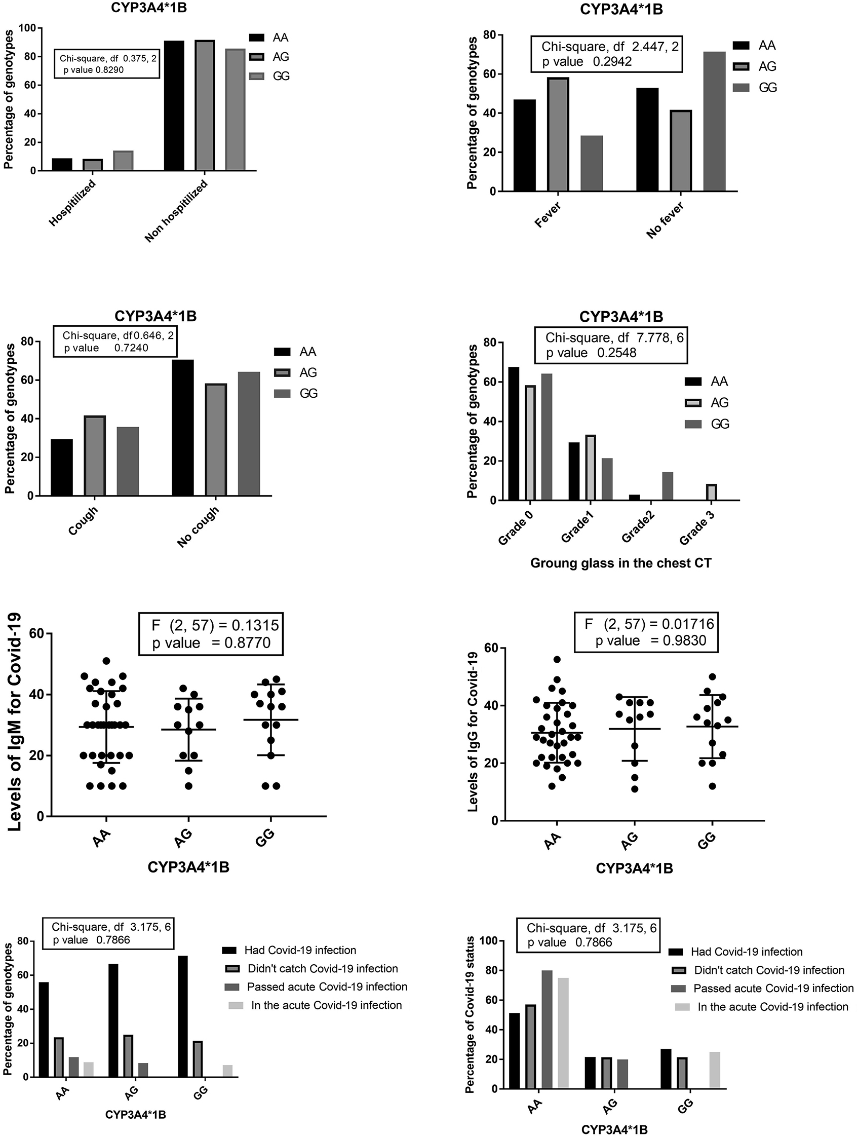 Figure 4: The percentages of different CYP3A4*1B genotypes among patients who needed hospitalization, suffered from fever, dry cough, and the percentages of CYP3A4*1B genotypes concerning the grade of ground glass in the chest CT. Levels of Anti-Covid-19 IgG and IgM among CYP3A4*1B genotypes and the percentage of different Covid-19 statuses among CYP3A4*1B genotypes the percentages of CYP3A4*1B genotypes among different Covid-19 statuses.