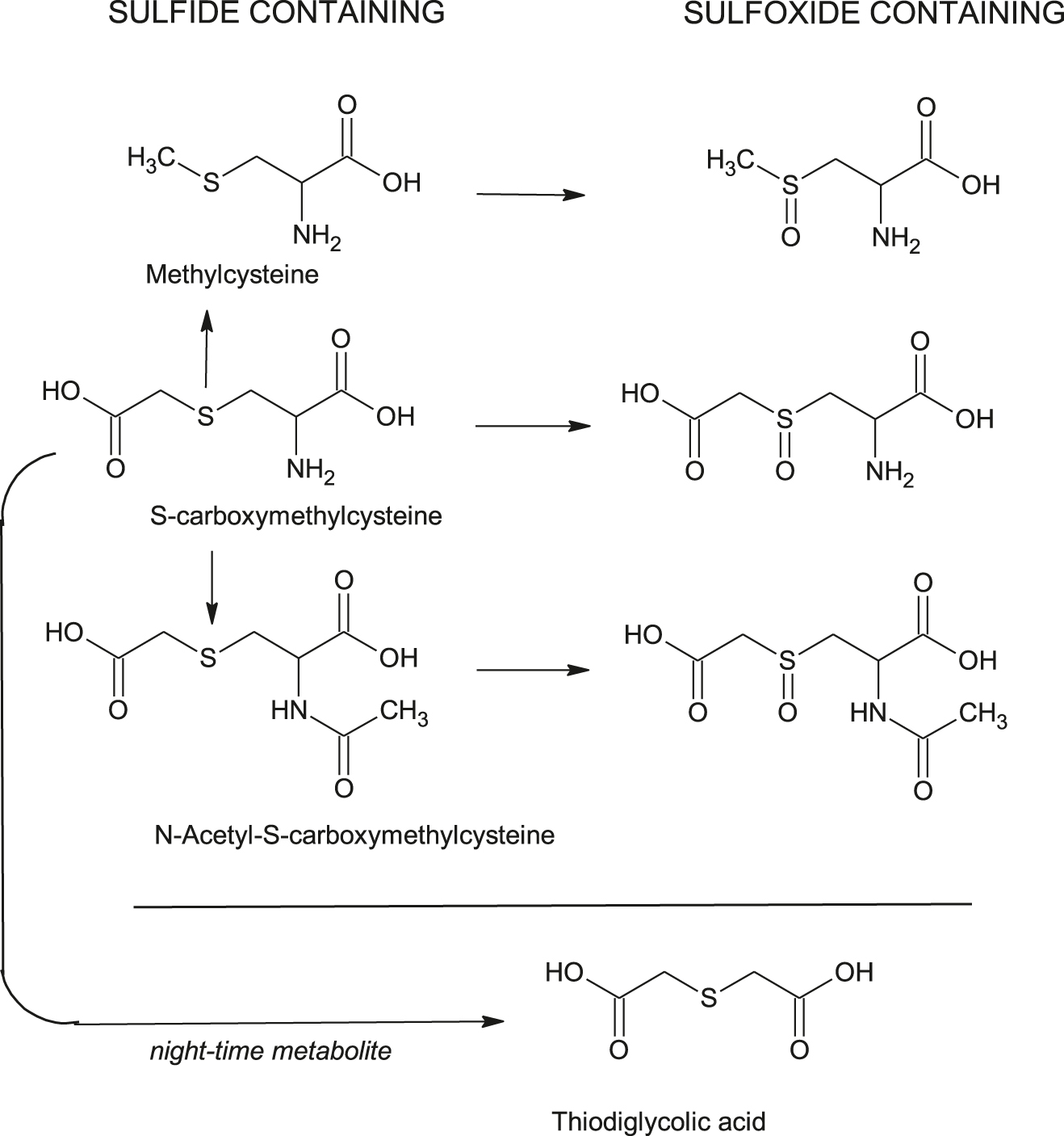 Figure 1:
Urinary metabolites produced following the daytime administration of S-carboxymethyl-L-cysteine indicating the major S-oxide products obtained. The enzyme, phenylalanine monooxygenase, has been shown to be capable of undertaking the sulfur oxygenation of all of these compounds. Thiodiglycolic acid (thiodiacetic acid) is a metabolite produced after night-time dosing. This compound is not a substrate for phenylalanine monooxygenase activity.