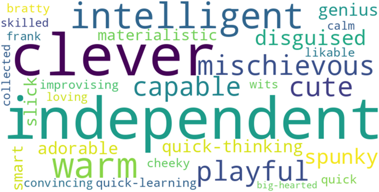 Figure 3:
Most frequently used descriptors of Huang Rong in fan discussions (Spcnet.com, 2005–2007).