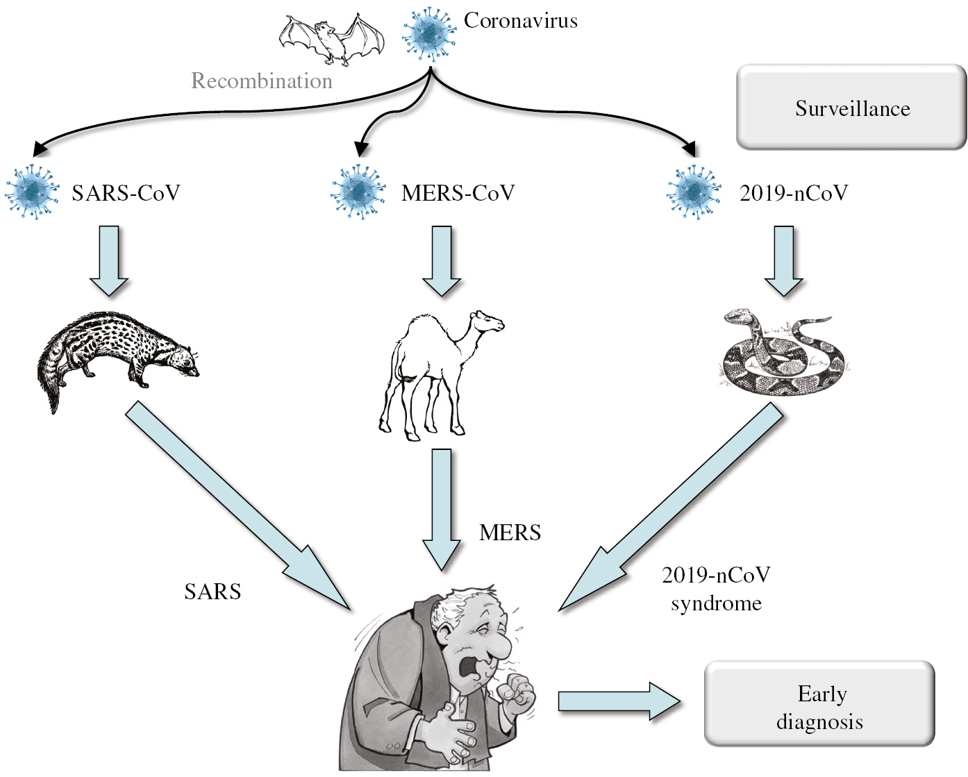 Figure 1: Natural history and management of recent coronavirus outbreaks in humans.CoV, coronavirus; SARS, severe acute respiratory syndrome; MERS, Middle East respiratory syndrome; 2019-nCoV, new 2019 coronavirus.