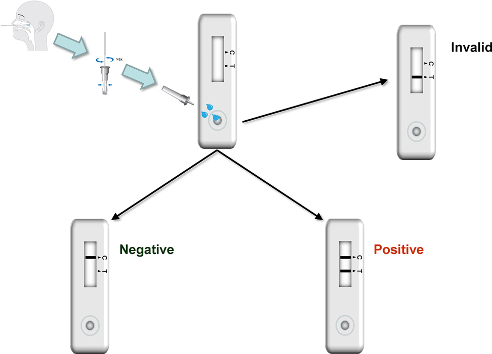 Figure 1: 
Brief description of performance of Roche SARS-CoV-2 rapid antigen test.
