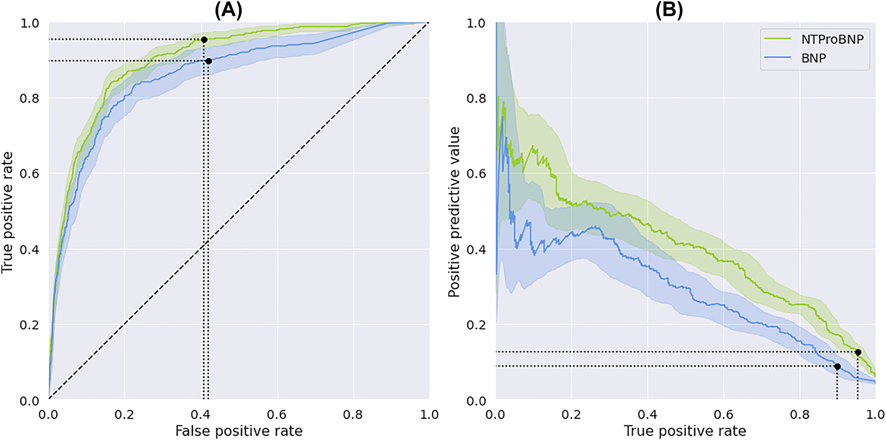 Figure 1: 
Discrimination of the natriuretic peptides (NT-proBNP and BNP). (A) AUROC and (B) AUPRC of NT-proBNP and BNP with 95 % confidence intervals. Blue for BNP and green for NT-proBNP. ESC-cut-off indicated by black dot on curve for both NPs.
