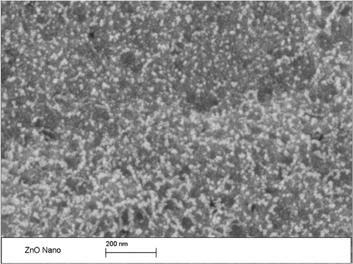 Figure 2: 
					Scanning electron microscopy (SEM) image of the ZnO nanoparticles.
				