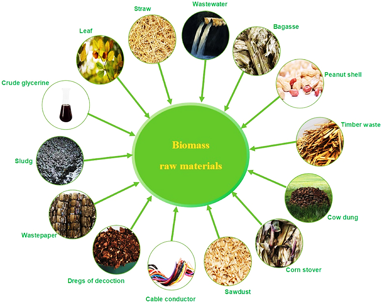 Figure 2: 
Raw biomass materials.
