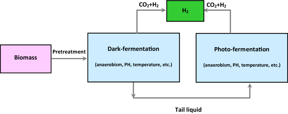 Figure 4: 
The dark-photo co-fermentation technology for producing hydrogen.
