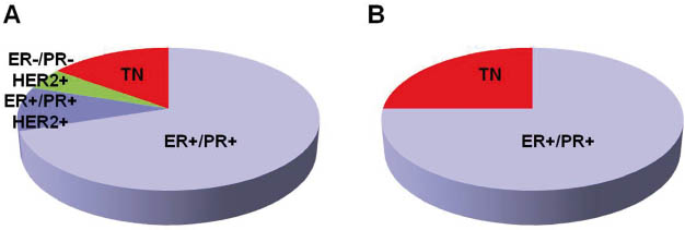 Figure 2 Frequency of breast cancer types and contribution to mortality. A) ER+/PR+ breast cancer comprises about 80% of the cases, including 10%, which are additionally positive for HER2 (HER2+). Another 5% of the cases are ER-/PR-/HER2+, while about 15% are ER-/PR-/HER2- (i.e., triple negative; TN). B) While ER+/PR+ breast cancer has a better prognosis than TN breast cancer, it accounts for about 75% of the mortality from breast cancer compared to an approximately 25% contribution of TN breast cancer.