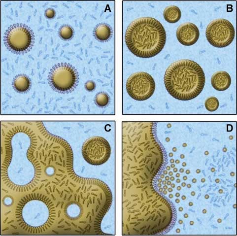 Figure 4 Generation of nanoemulsions using the PIT method. A water/nonionic surfactant/oil system undergoes a phase inversion [Regenerated from (24)].
