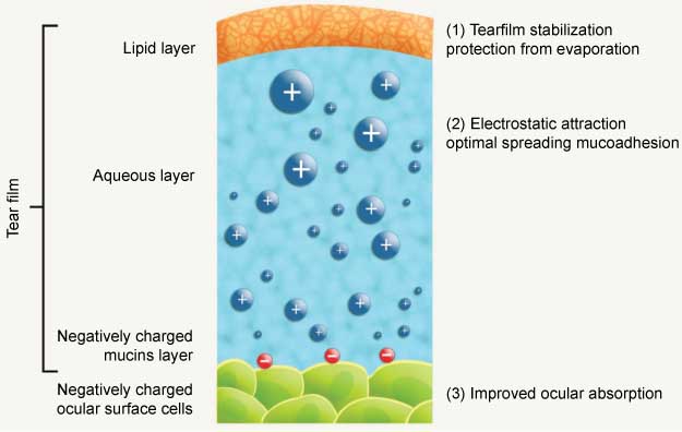 Figure 7 Three advantages of cationic nanoemulsions for ophthalmic delivery [Regenerated from (43)].