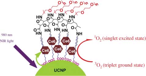 Figure 2 A schematic drawing showing NIR-induced PDT using UCNP-Ce6 (82).