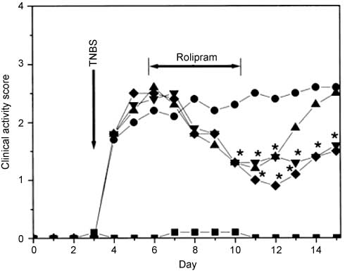 Figure 3 Clinical activity score during the whole experimental period always determined for n=6 animals (■, healthy control group; •, colitis control group; ▴, rolipram solution; ▾, PLGA nanoparticles (mol. wt. 20,000); ♦, PLGA nanoparticles (mol. wt. 5000). *p<0.05 compared with colitis control rats given saline. Reprinted from (86) Lamprecht et al., Biodegradable nanoparticles for targeted drug delivery in treatment of inflammatory bowel disease. J Pharmacol Exp Ther 2001;299:775–81., Copyright 1998–2010, with kind permission from Journal of Pharmacology and Experimental Toxicology.
