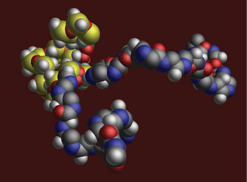 Figure 1 Computational modeling of triblock copolymer composed of oxazolines and siloxane. Block copolymers are an important building block of complex nanosystems (4).