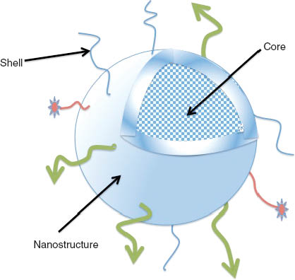 Figure 2 Nanosystems for CV diagnostic or imaging. The nanosystems have high surface area to volume ratios available to ligand decoration either for targeting (green arrows) or drug coupling (red stars). Internal volume in the core allows encapsulating drugs or imaging agents (dots). These features make them well-suited as drug delivery carriers or imaging agents for the management of cardiovascular diseases. The bioengineering nanosystems in NanoAthero are assemblies of nanocarriers integrating a stealth coating in the shell, and an active molecule (drug or imaging agent) to be clinically validated in the field of atherosclerosis.