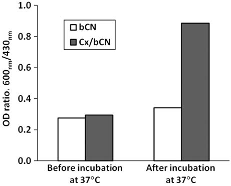 Figure 1 Effect of incubation at 37°C on turbidity of bCN and Cx/bCN.