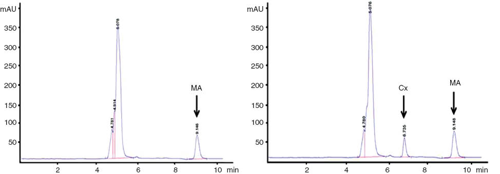 Figure 3 Representative HPLC chromatograms of pig plasma with MA as an internal standard without Cx (left panel) and with spiking of Cx 500 ng into pig plasma sample (right panel).