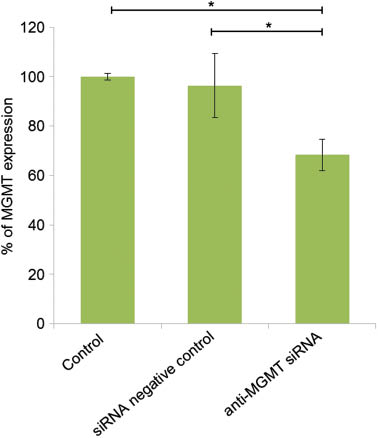Figure 1: Effect of anti-MGMT siRNA (5 nM) carried by chitosan-LNCs on MGMT expression in U87MG/MGMT+ after siRNA treatment for 96 h. Data are shown as mean±SEM (n=3) (*p<0.05).