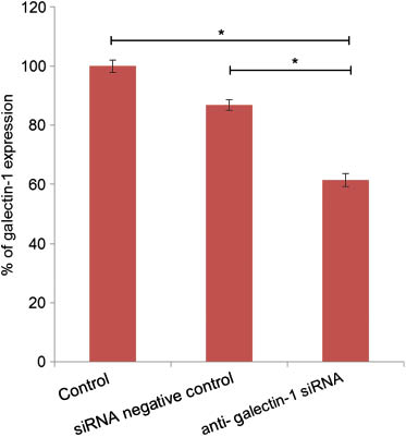 Figure 2: Effect of anti-galectin-1siRNA carried by chitosan-LNCs (40 nM) on the galectin-1 expression in U87MG/MGMT- after treatment for 96 h. Data are shown as mean±SEM (n=3) (*p<0.05).