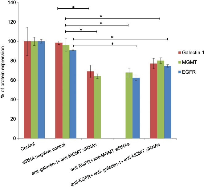 Figure 4: Effect on Galectin-1, MGMT and EGFR expression after treatment of U87MG/MGMT+ cells with the combination of siRNAs (anti-MGMT/anti-EGFR, anti-MGMT/anti-galectin-1 and anti- MGMT/anti-EGFR/anti-Galectin-1) carried by the chitosan-LNCs. siRNAs concentrations were 40 nM for anti-EGFR and anti-galectin-1 siRNAs and 5 nM for the anti-MGMT siRNA. Data are shown as mean±SEM (n=3) (*p<0.05).