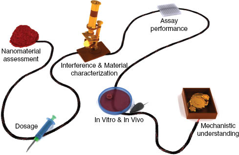 Figure 3: Important components that allow to link nanomaterial assessment with mechanistic understanding in a biological system in a reliable way.