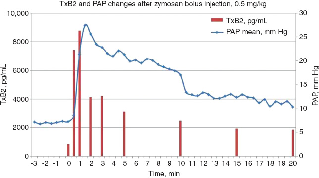 Figure 4: Time correlation between the rises of blood TXB2 and pulmonary arterial pressure during zymosan-induced CARPA in a pig  (reaction following 0.5 mg/kg Zymosan i.v. injection).Zymosan (0.5 mg/kg) was injected i.v. at time 0. At 30 s after the injection TXB2 level exceeds 9× the preinjection value, and clearly  precedes the rise of PAP. Original data reproducing a similar experiment wherein the reaction was triggered by liposomes.