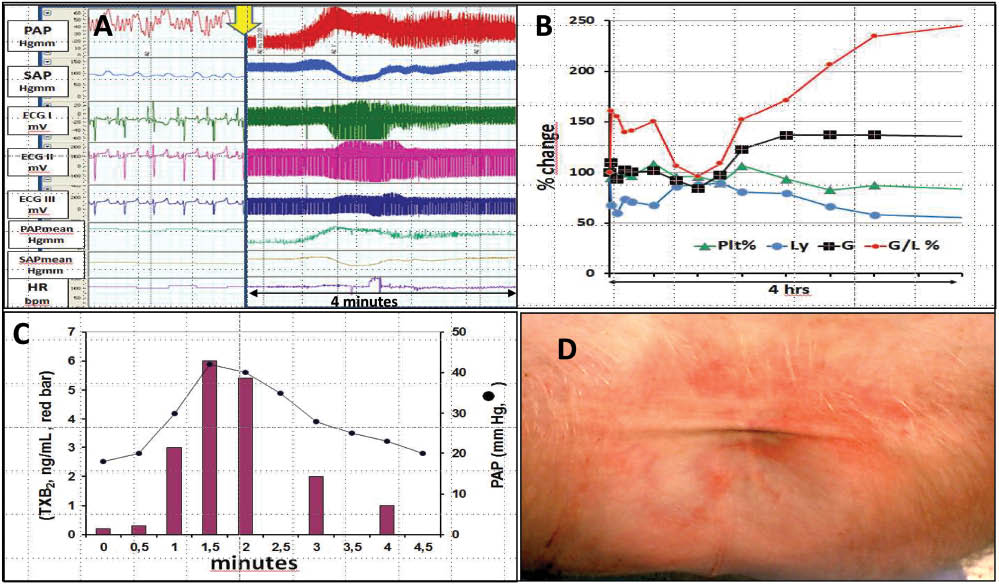 Figure 2: The symptom tetrad of CARPA in pigs. The hemodynamic (A) hematological (B), blood chemistry (C) and skin (D) changes are characteristic of porcine CARPA. Reproduced with permission from (6, 7).