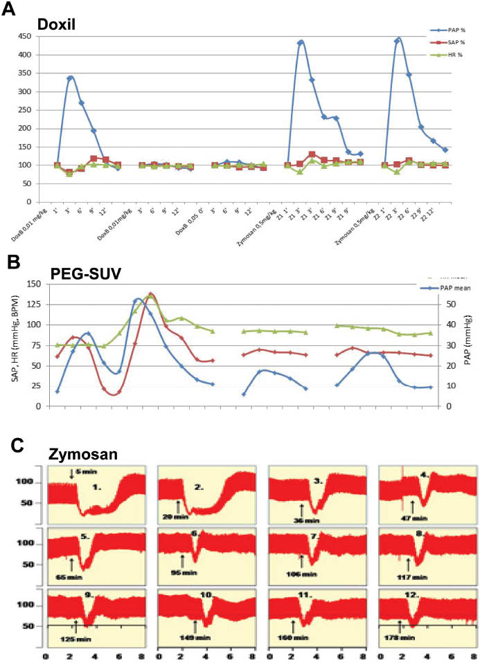 Figure 6: Full, partial and biphasic tachyphylaxis. (A) First 3 injections: repeated bolus administration of 0.01, 0.01 and 0.05 mg/kg Doxil, followed by 2 injections of 0.5 mg/kg zymosan. Figure shows the PAP (Blue), SAP (red) and HR (green) values as % of baseline. x-Axis: Minutes. Reproduced from (82). (B) Repeated bolus administration of comparable doses of another PEGylated reactogenic liposome preparation, containing an anti-inflammatory steroid. Unpublished data. (C) Repeated bolus administration of 0.01 mg/kg zymosan in a pig, Y values are SAP, mm Hg. Reproduced from (7) with permission.