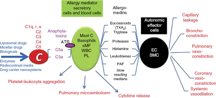 Figure 3: The CARPA cascade. The hypothetical scheme, sketched on the basis of collective information in Refs. (2–4, 22–27), illustrates the steps and interactions among cells and reaction mediators. AR, anaphylatoxin receptors; Mast C, mast cells; sMF, secretory macrophages; WBC, white blood cells; PL, platelets; EC, endothelial cells; SMC, smooth muscle cells. Figure reproduced from (8) with permission.