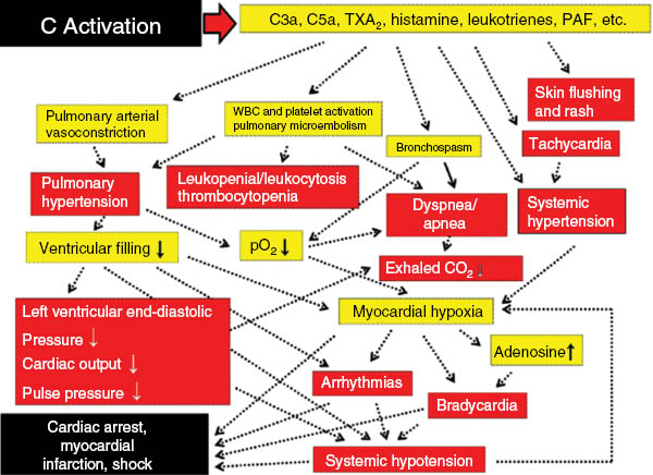Figure 4: Inter-relations among the different abnormalities during CARPA, leading to clinical symptoms. Hypothetical scheme delineated on the basis of collective information in Refs. (2–4, 22–27). The physiological changes and clinical symptoms are boxed with yellow and red background, respectively. Figure reproduced from (8) with permission.