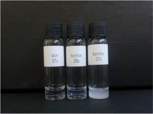Figure 9: Photograph of Cx/bCN at 25°C (middle), bCN (without drug) after aged at 37°C for 2 h (left), and Cx/bCN (encapsulated Cx:bCN mole ratio of ~6) after heating at 37°C for 2 h (right).