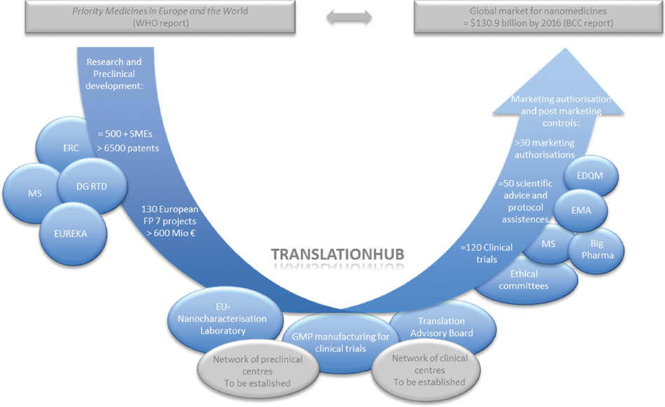 Figure 2: Overview of efforts undertaken by different players in Europe aiming to make nanomedicines available to the patients. The translation hub has been proposed by the European Technology Platform on Nanomedicine in order to overcome the “Valley of Death” (26). European Research Council (ERC); Member States (MS); Directorate-General for Research and Innovation (DG RTD), European Directorate for the Quality of Medicines and Healthcare (EDQM); European Medicines Agency (EMA).