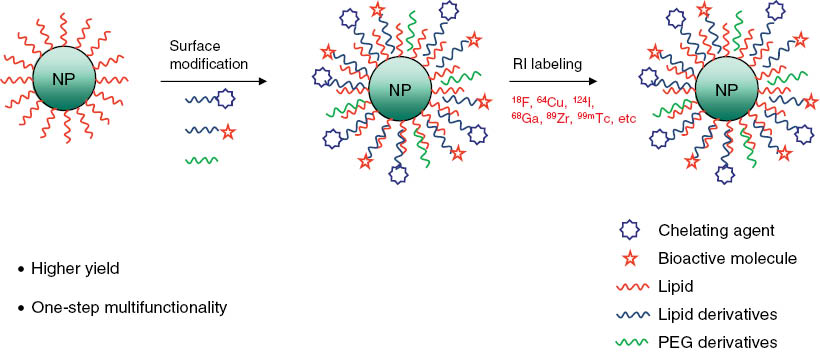 Figure 1: The one-step method for multifunctional nanoparticle.Clinical translation of radionanomedicine needs quick and simple methods for modification of nanoparticles. Radiolabeled multifunctional nanoparticles can be prepared by simply mixing functionalized micelles and hydrophobic nanoparticles. The modification is followed by radiolabeling. This approach facilitates clinical application as various modified nanoparticles can be tested in vivo and proper candidates for further clinical trial can be selected.