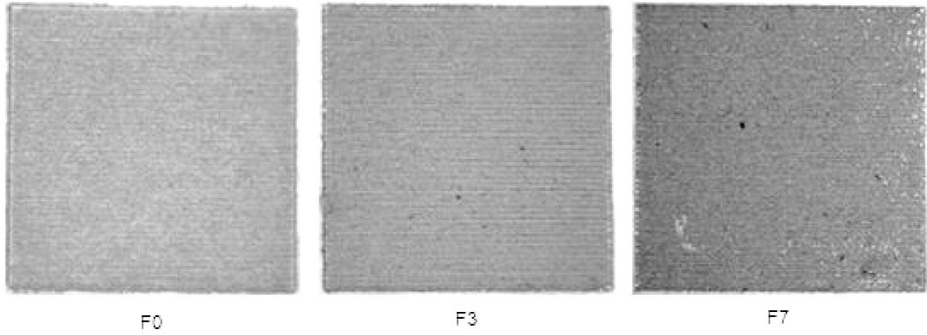 Figure 9 Visually chosen experimental samples, fields F0, F3, F7