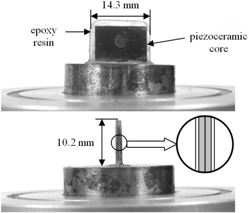 Figure 4 A view of the bender element with described dimensions.